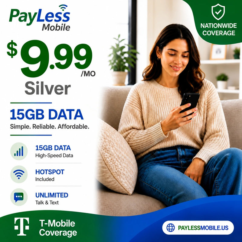 PayLess Silver